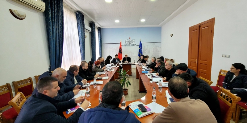 Takim konsultativ për krijimin e Platformës Kombëtare për Menaxhimin e Riskut nga Fatkeqësitë.